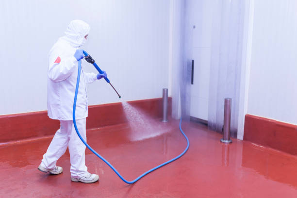 Reliable Cross Plains, TX Pressure Washing Solutions